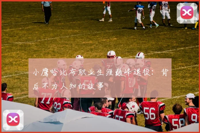 小鹰哈比布职业生涯巅峰退役：背后不为人知的故事