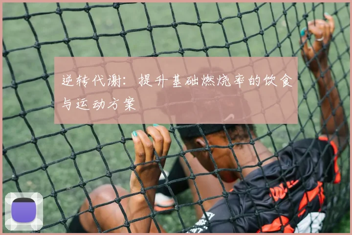 逆转代谢：提升基础燃烧率的饮食与运动方案