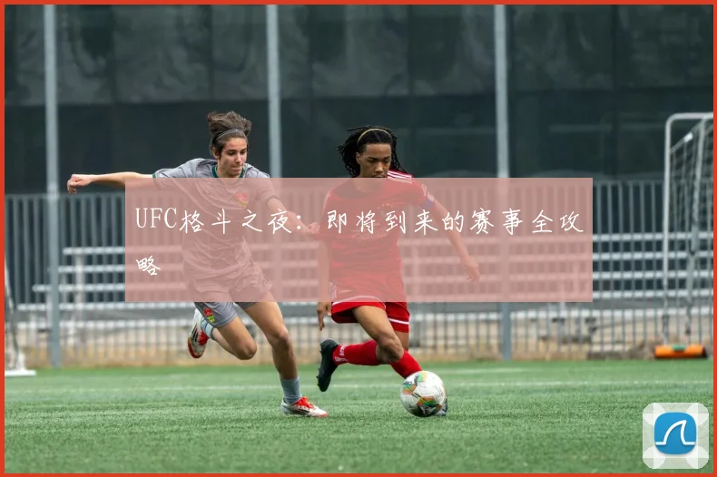 UFC格斗之夜：即将到来的赛事全攻略
