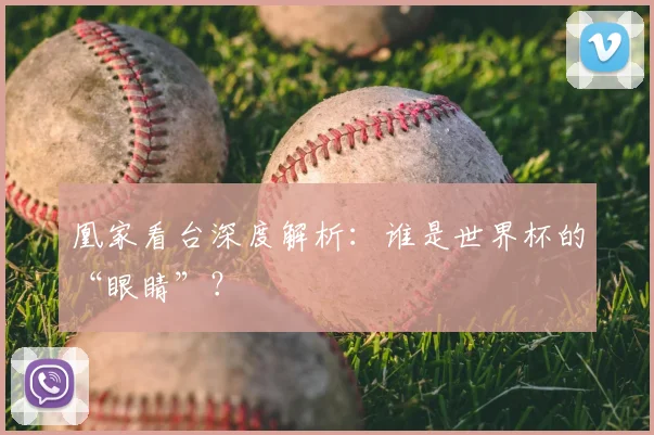 凰家看台深度解析：谁是世界杯的“眼睛”？