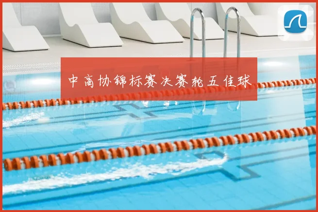 中高协锦标赛决赛轮五佳球
