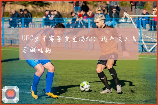 UFC女子赛事奖金揭秘：选手收入与薪酬结构