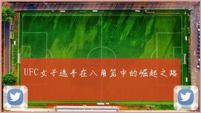 UFC女子选手在八角笼中的崛起之路
