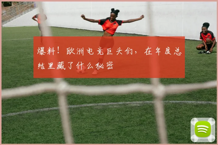 爆料！欧洲电竞巨头们，在年度总结里藏了什么秘密