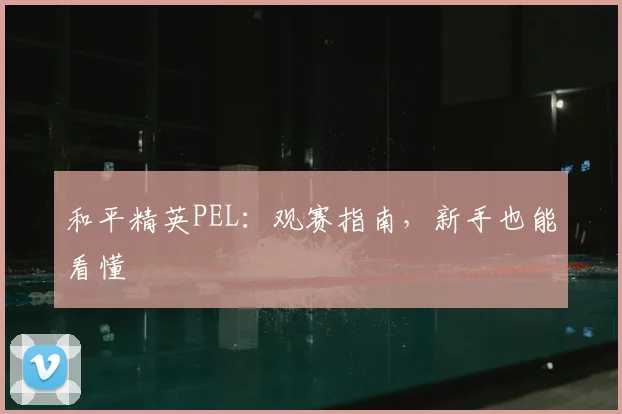 和平精英PEL：观赛指南，新手也能看懂