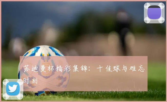 苏迪曼杯精彩集锦：十佳球与难忘时刻