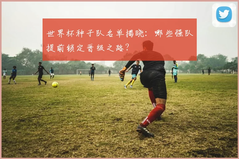 世界杯种子队名单揭晓：哪些强队提前锁定晋级之路？