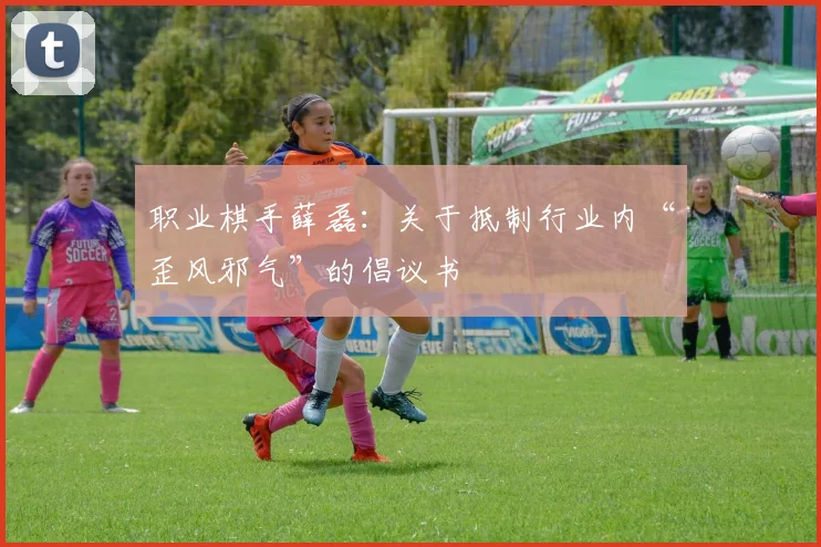 职业棋手薛磊：关于抵制行业内“歪风邪气”的倡议书