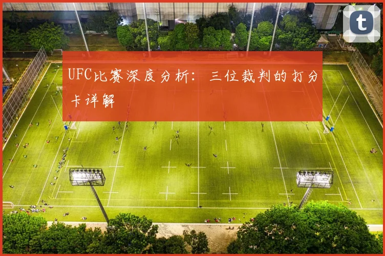 UFC比赛深度分析：三位裁判的打分卡详解