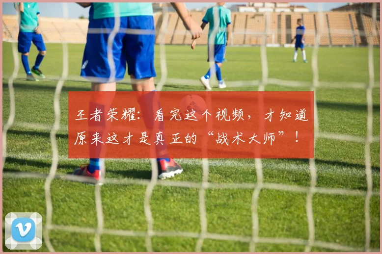 王者荣耀：看完这个视频，才知道原来这才是真正的“战术大师”！