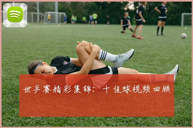 世乒赛精彩集锦：十佳球视频回顾