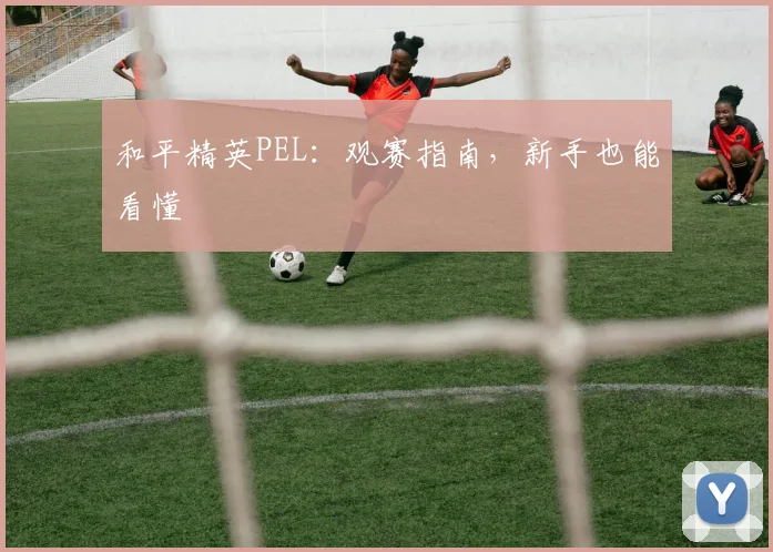 和平精英PEL：观赛指南，新手也能看懂